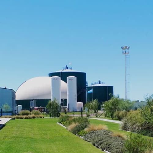 Bioeléctrica dos