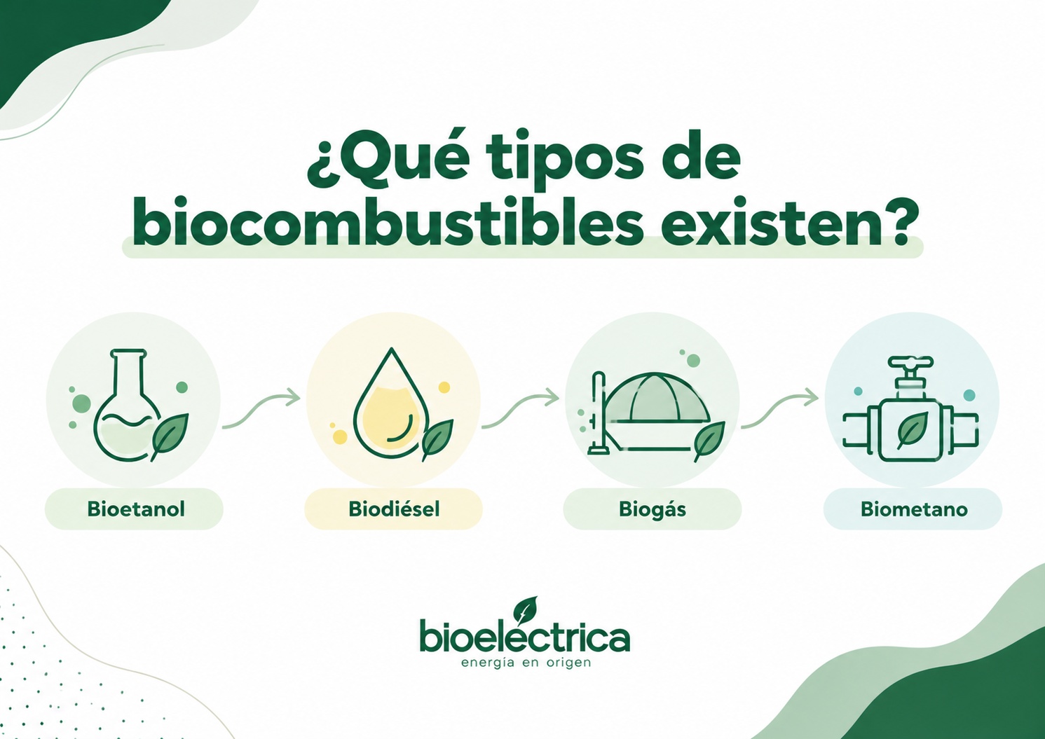 ¿Qué son los biocombustibles y qué rol tienen en la transición energética?