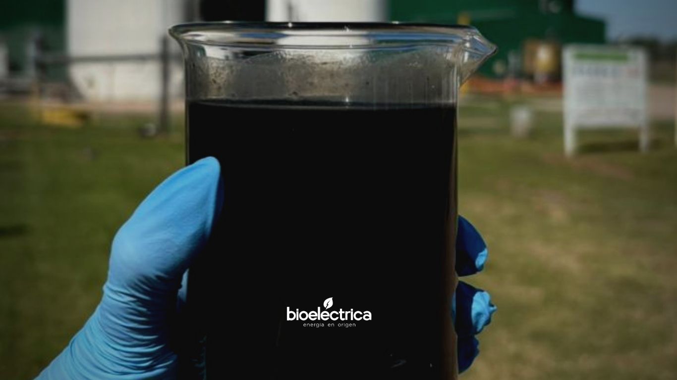 ¿Qué son los biofertilizantes y por qué son clave en la economía circular?