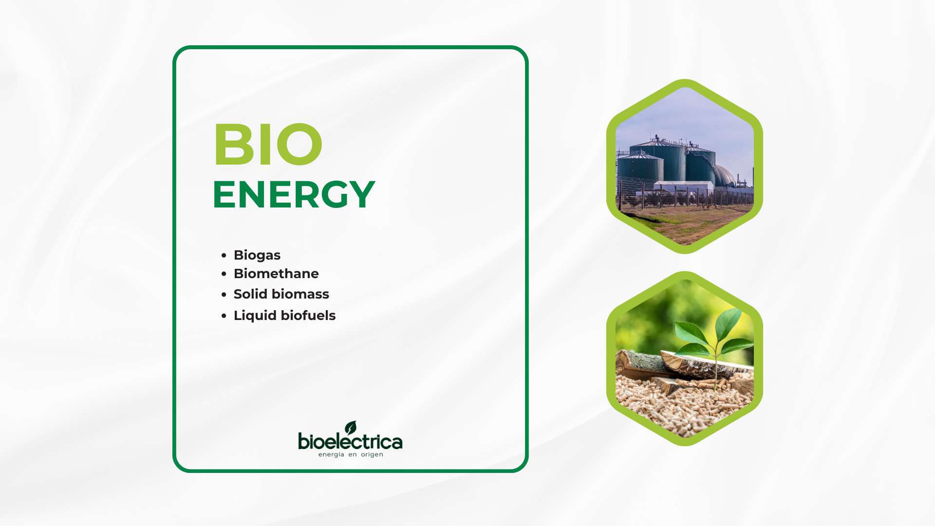 What is Bioenergy? How It Works and Why It Matters for a Sustainable Future