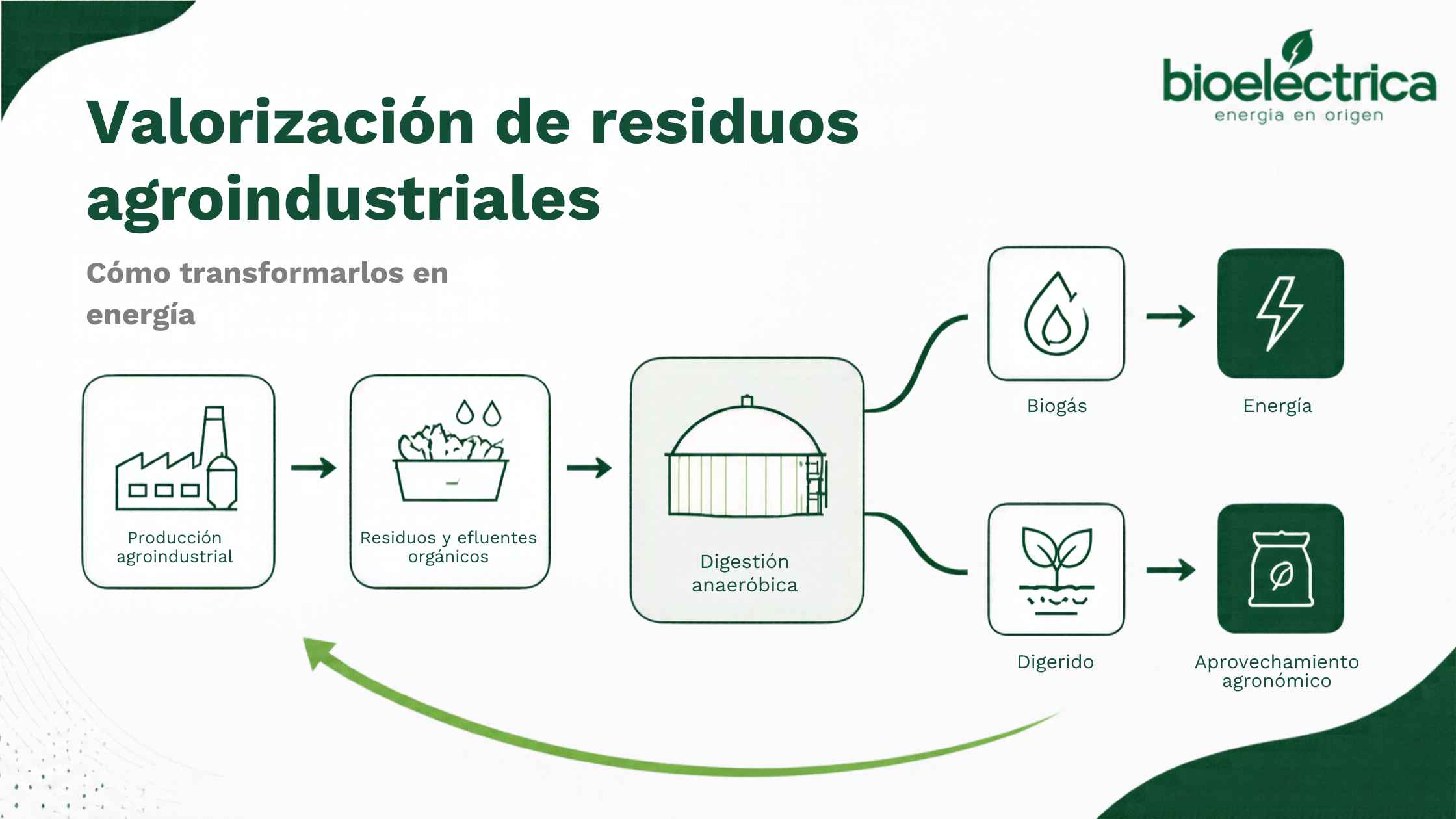 Valorización de residuos agroindustriales: cómo transformarlos en energía