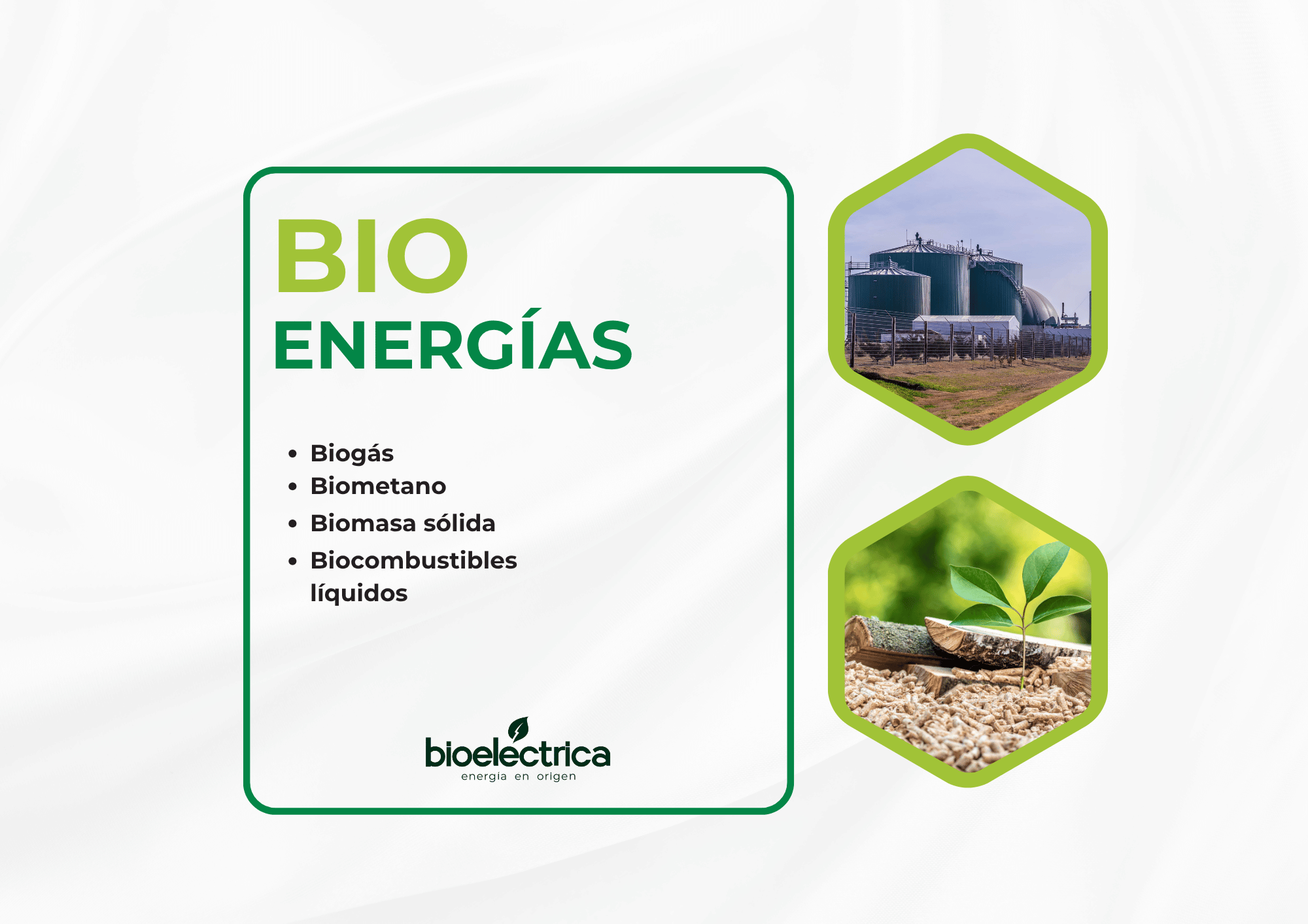 Bioenergía: qué es, cómo funciona y por qué es clave para un futuro sostenible