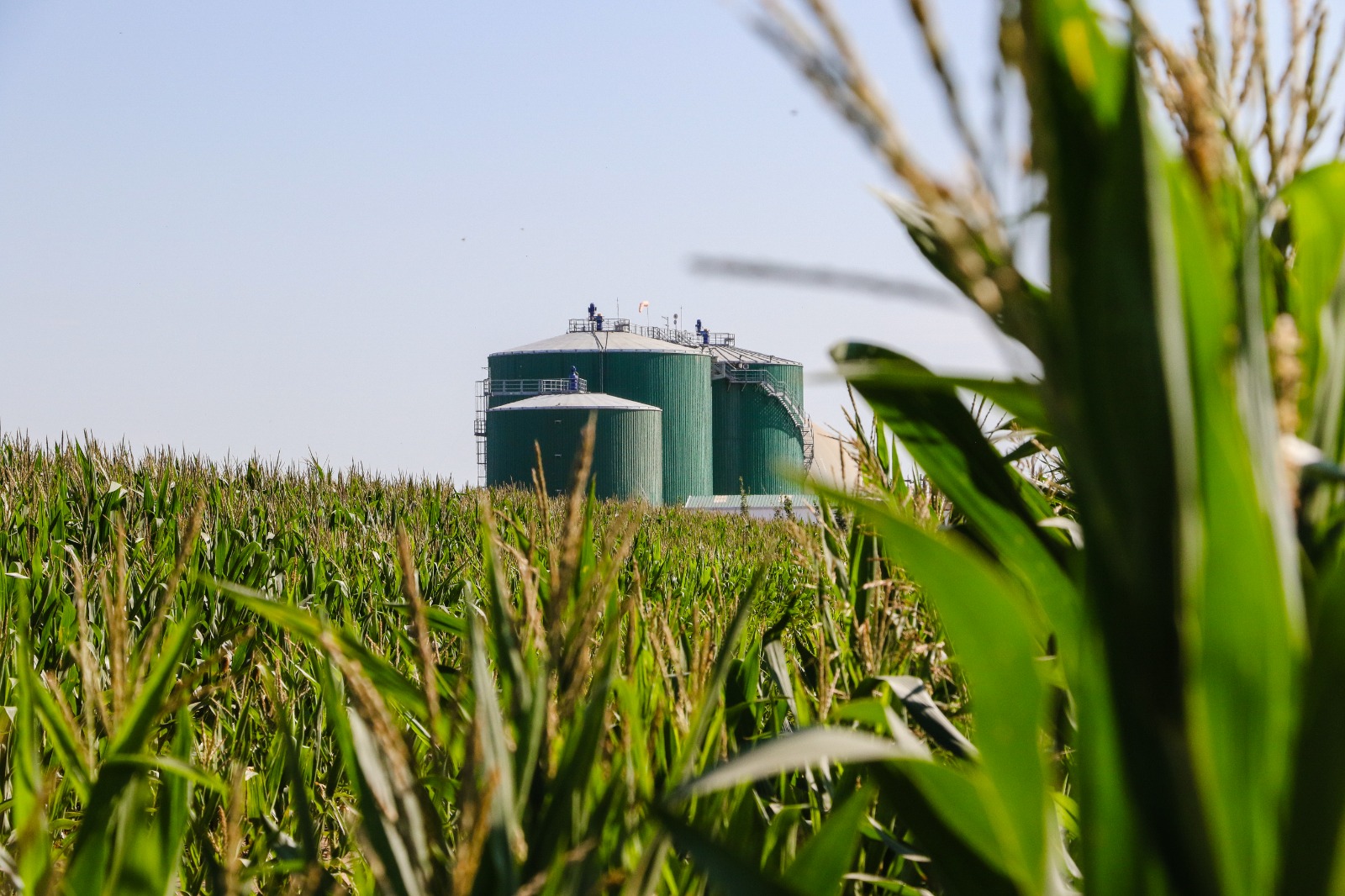 ¿Qué es el biometano y por qué es clave para la transición energética?